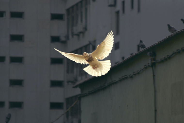 Neix-el-grup-de-treball-de-Periodisme-per-la-Pau